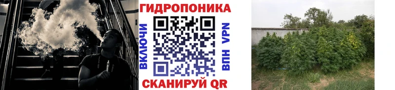Где купить наркотики Воронеж Кокаин Меф мяу мяу Alpha-PVP Канабис