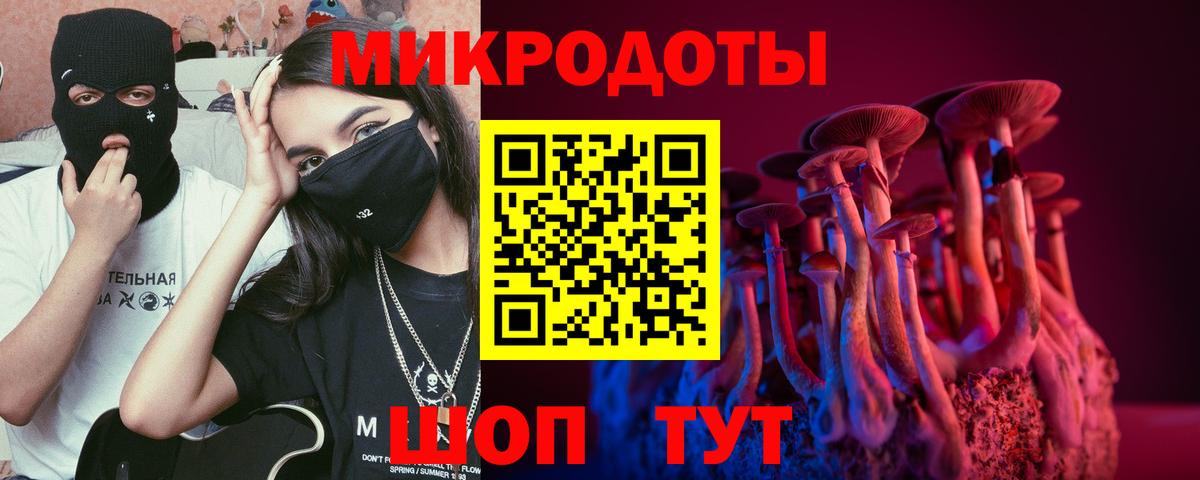 Галлюциногенные грибы Magic Shrooms  Воронеж 