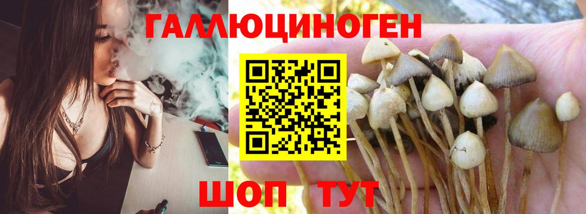 Воронеж  Галлюциногенные грибы мухоморы  Галлюциногенные грибы мухоморы  Вход с VPN 